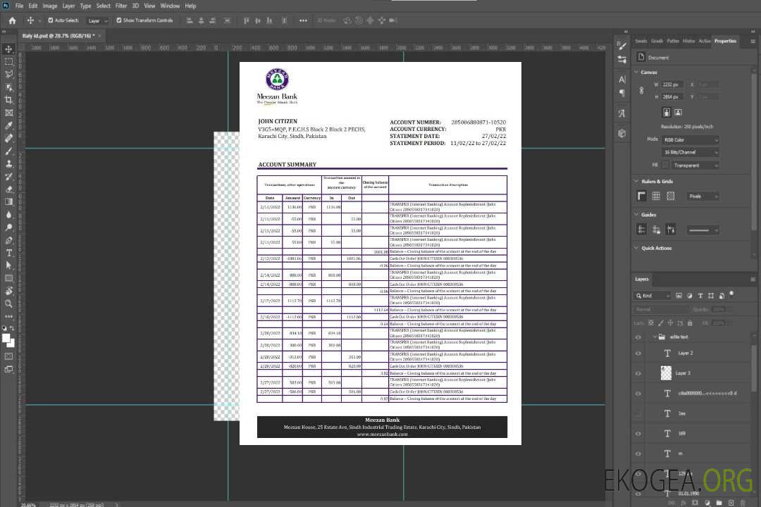 Relevé bancaire Pakistan Meezan xls template Relevé bancaire Pakistan Meezan xls template